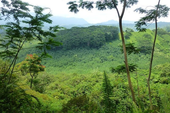 Kuilau Ridge Hike and Nature Scavenger Hunt - Photo 1 of 11